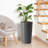 2-Pack 21.7 In Modern Tall Square Planter Boxes, Matte Brown/Grey/Black Tapered Flower Pots | Indoor Outdoor Use For Porch, Patio, Garden & Home-128860309