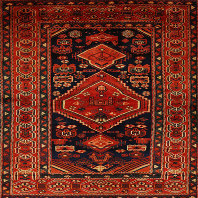 Oriental Indoor Rug