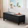 Asdrubale 50.3" Wide Faux Leather Upholstered Storage Bench