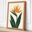 Bird of Paradise Botanical - Wrapped Canvas-2031700778-2031700782