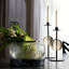 Terrell Candleholders, Set Of 2