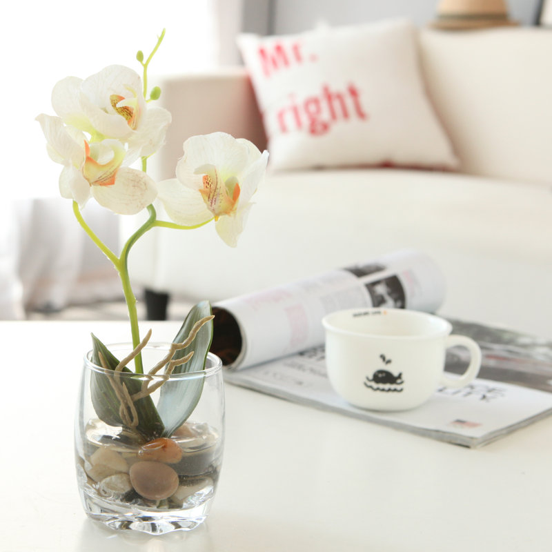 Orchid Arrangement in Vase