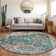 Ceajay Oriental Indoor Rug