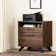 Boneita 29'' Wide 2 -Drawer File Cabinet