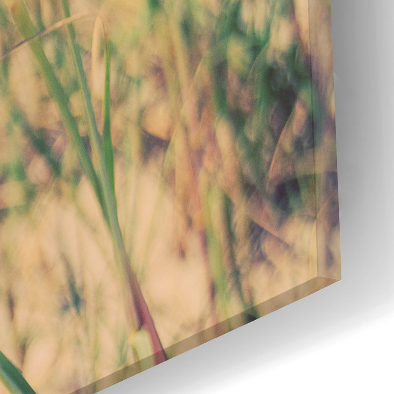 «Sea Oats» par Myan Soffia, art en verre acrylique Wal, H 24 po x l 16 po x P 0,2 po