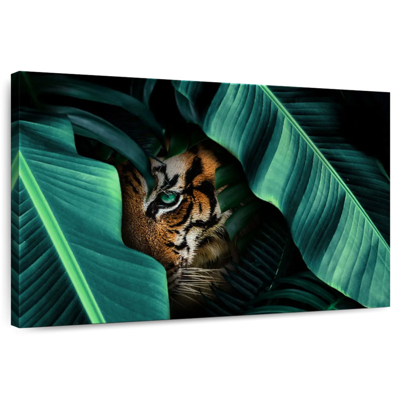 Brampt Hiding Tiger, 34'' H x 51'' W