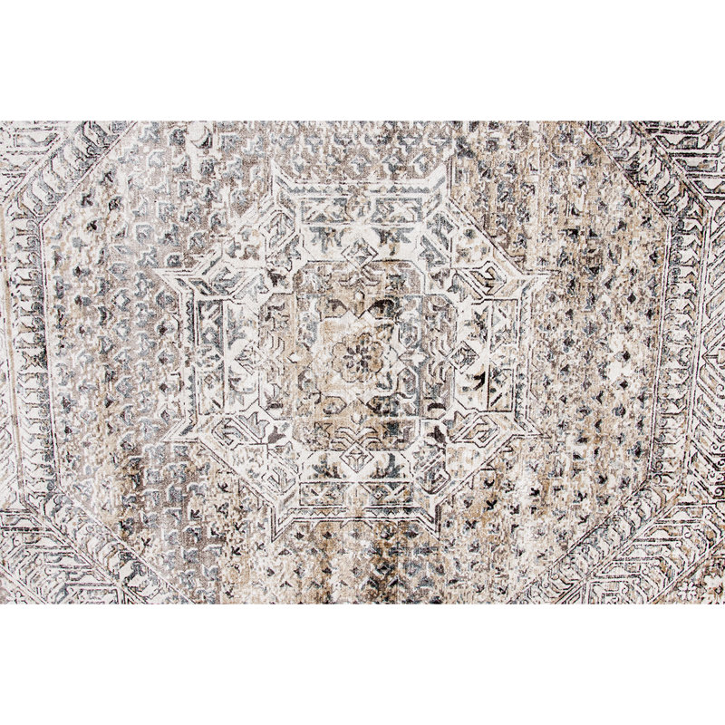 Riviera Oriental Area Rug, Rectangle 6' x 9'