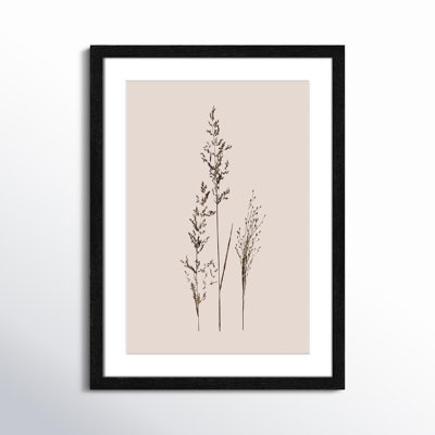 Delicate Stems I by Carol Robinson - Single Picture Frame Print -  Birch Lane™, 60EE289032FE4BF2A0D3DAAE77FB867D