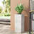 MGO PLANTER