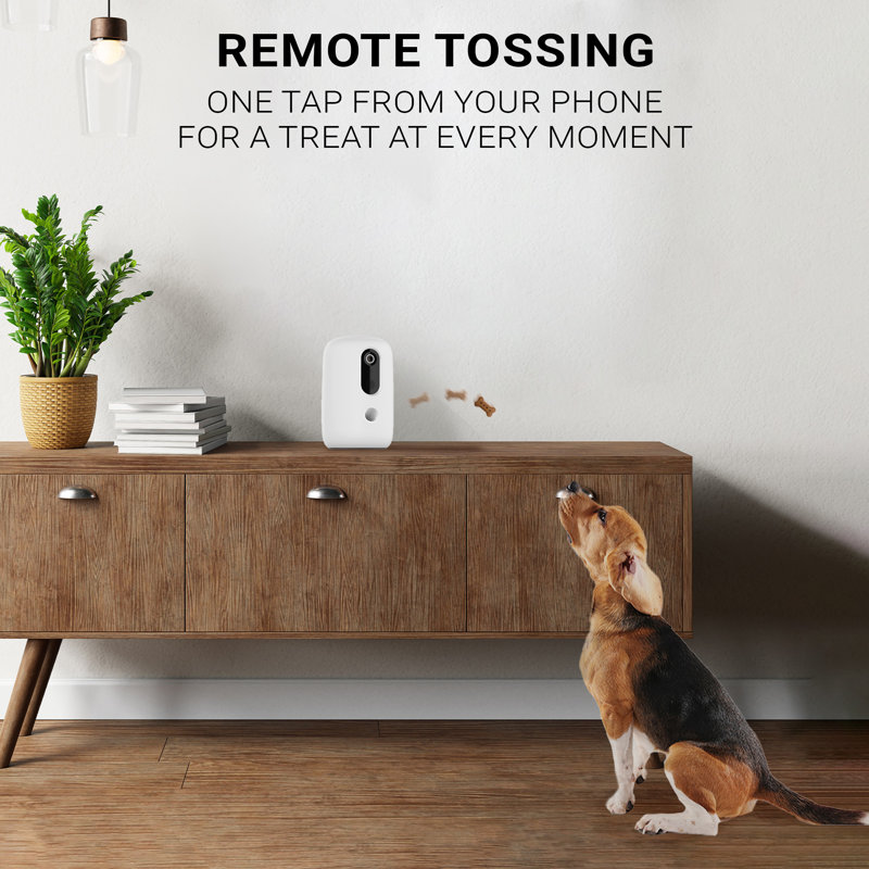 Distributeur de friandises pour chats et chiens Purechew