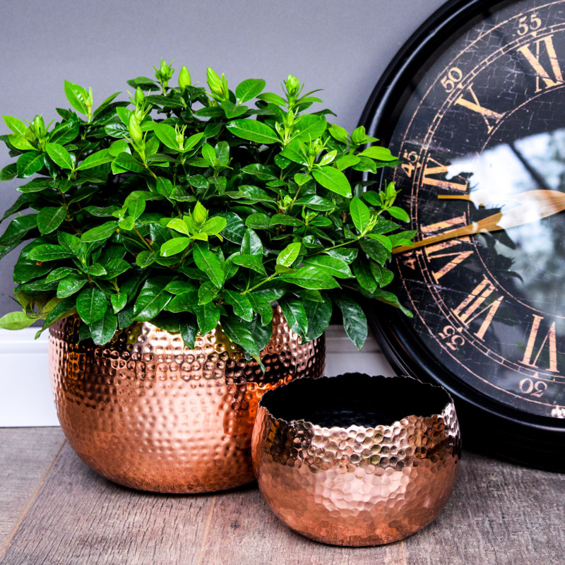 Hammered Metal Indoor Plant Pot Bowl, Copper