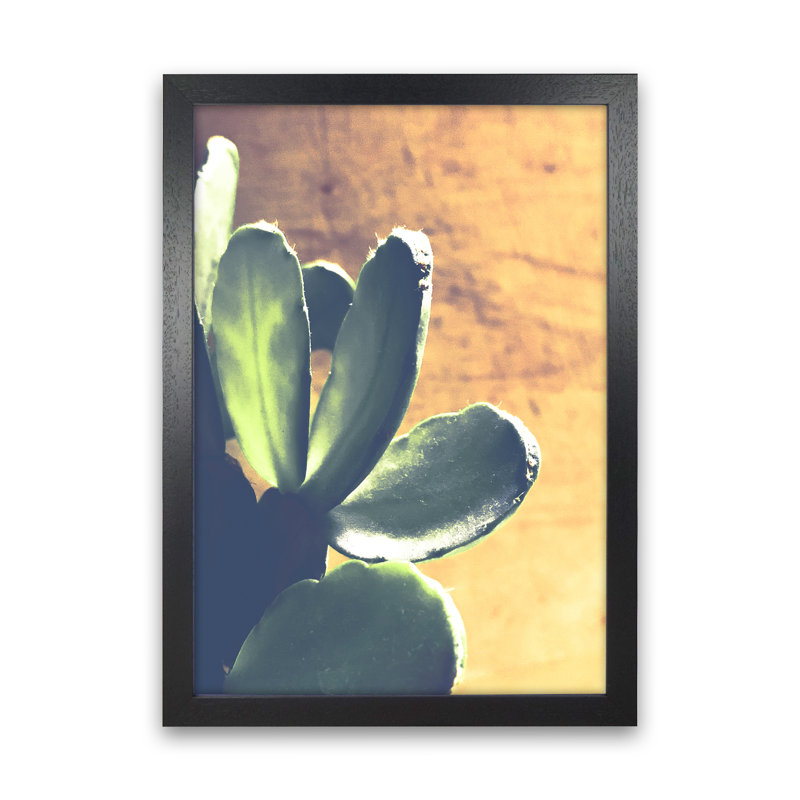 Cactus - Print, Black Framed, 42cm H x 30cm W x 3cm D