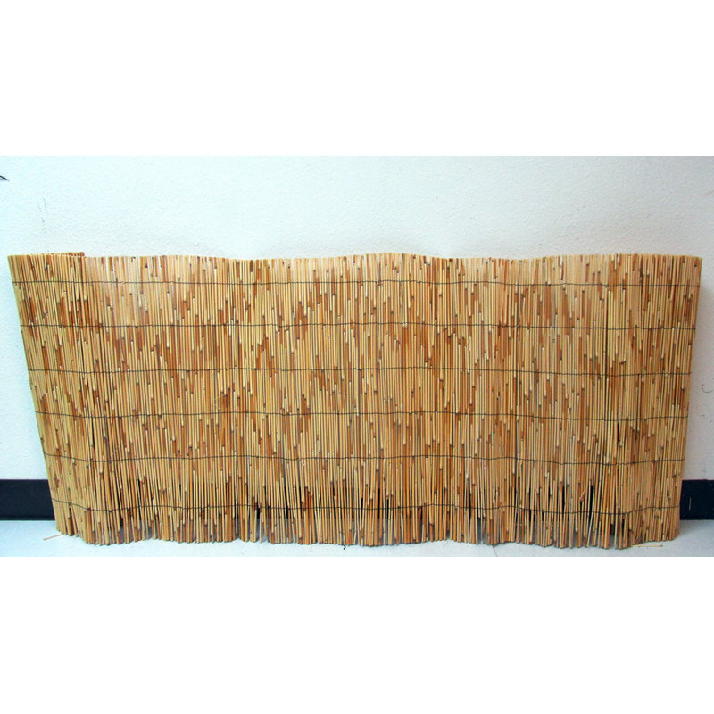 Panneau de clôture roulé en roseau naturel, H 36 po x l 168 po x P 0,25 po
