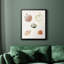 Toile encadrée Pastel Knorr Shells-1932138127-1932138123