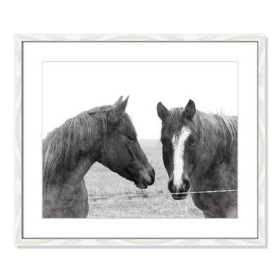 Wild Pastures by Carol Robinson