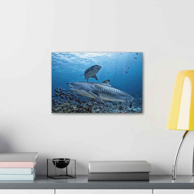 No Frame Print on Canvas, 30.48cm H x 40.64cm W