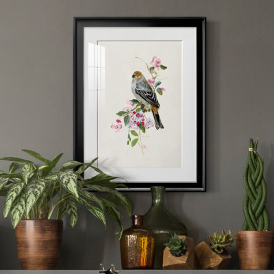 «Spring Song Goldfinch» - peinture encadrée