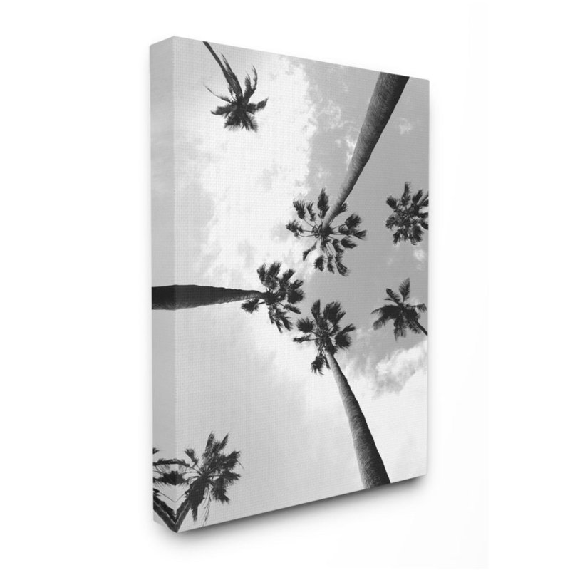 Ciel noir et blanc à travers des palmiers par Ziwei Li - reproduction d'art, H 40 po x l 30 po, Toile tendue