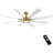 Deallen 72'' Ceiling Fan with LED Lights-1197369279