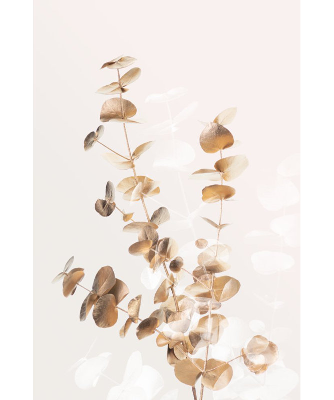Wrapped Canvas Print, 76.2cm H x 50.8cm W