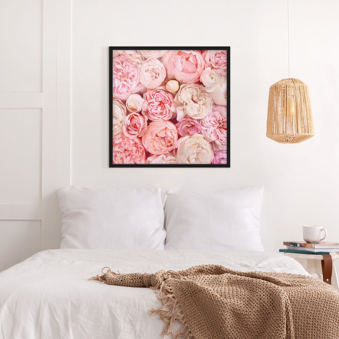 Gerahmter Grafikdruck Roses Coral Shabby