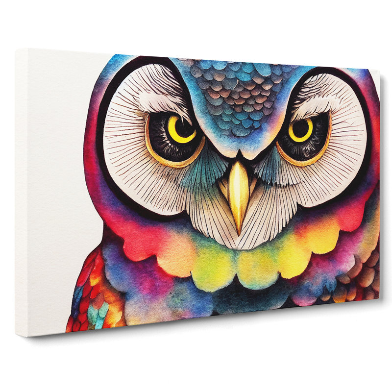 Colourful Owl Vol.1 - Wrapped Canvas, 35cm H x 50cm W x 3cm D
