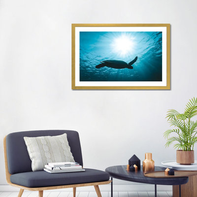 " Turtle With Sun Rays " by James Vodicka