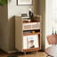 Petite armoire d'appoint multifonctionnelle