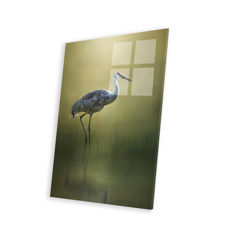 «Sandhill Crane Reflection On Plastique / Acrylique» par Patsy Weingart Print