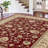 Clarence Oriental Floral Indoor Kid & Pet Friendly Rug for Bedroom, Living Room-1119496188
