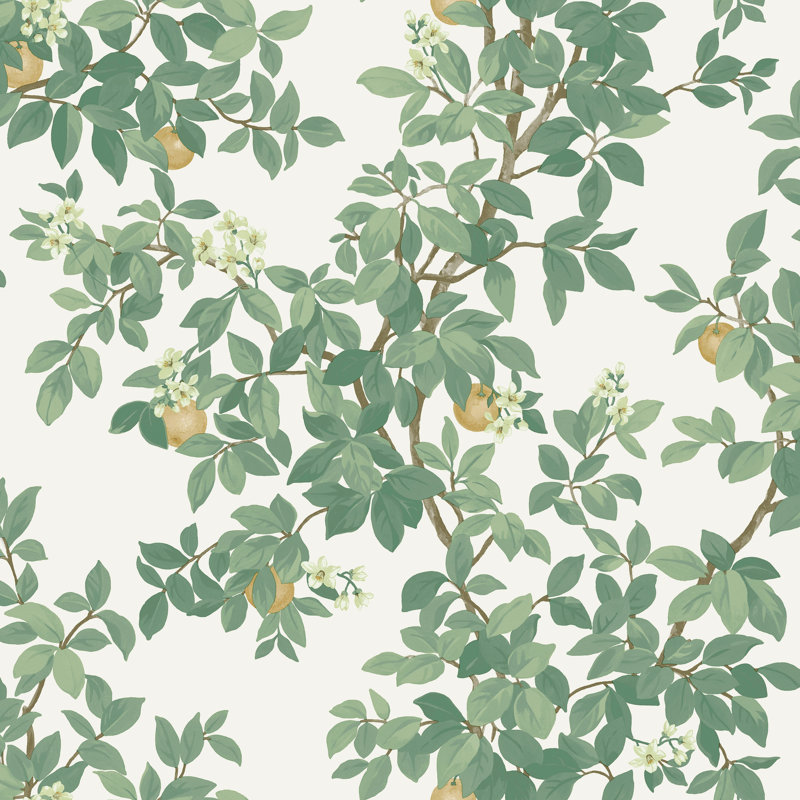 Papier peint orange orange crème et vert non collé, Crème/vert