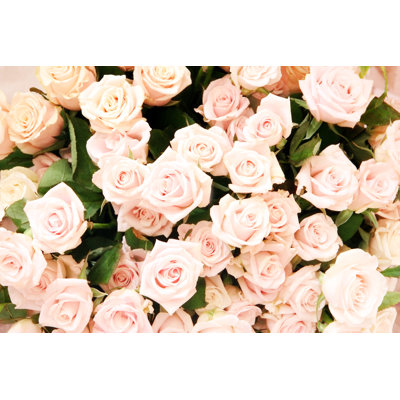 Pink Rose Background - Wrapped Canvas Print
