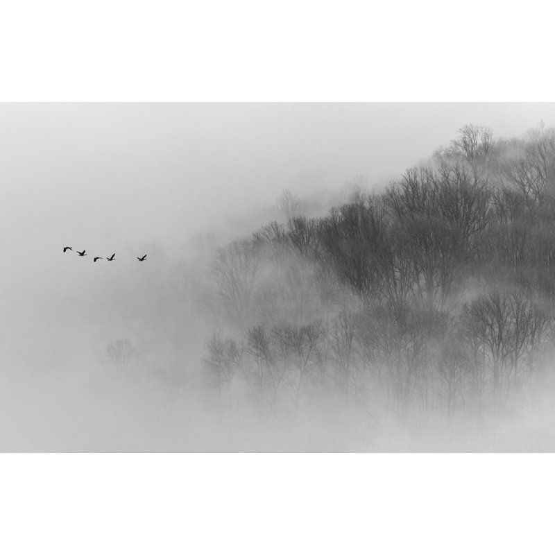 Wrapped Canvas Print, 50.8 cm H x 76.2 cm W