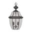 Luminaire suspendu 2 lumières avec abat-jour en verre transparent-101231118