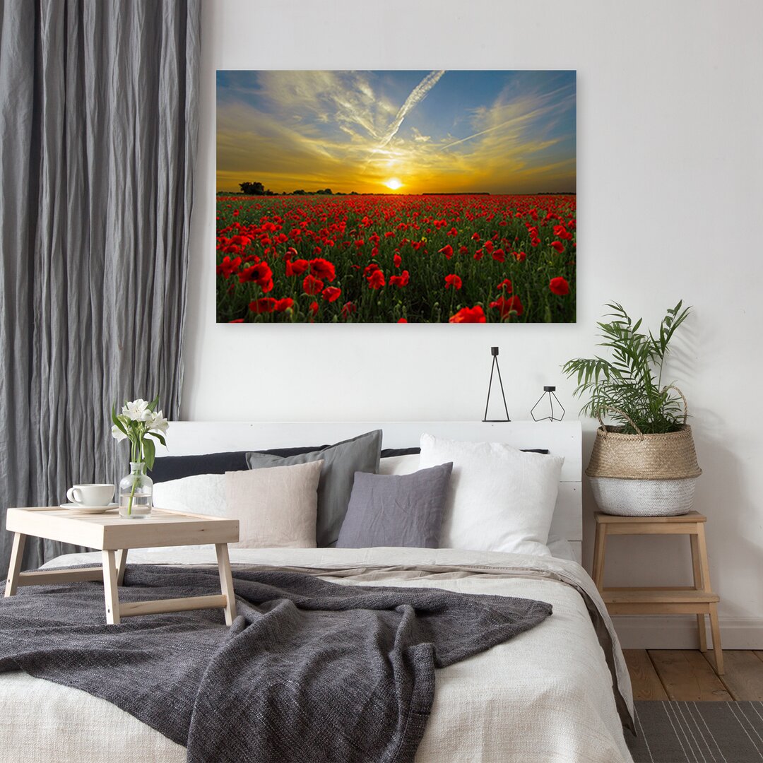 Leinwandbild Print, Red Landscapes