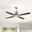 60'' Ceiling Fan with LED Lights-2019762127