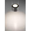 Aldan 1 - Light Black LED Pendant