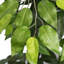 Ficus artificiel 72 po dans un panier