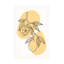 Boho Fruits 2 par Jay Stanley-1400203021