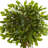 Ficus Tree Topiary Artificial Plant