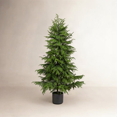 Pine Christmas Tree