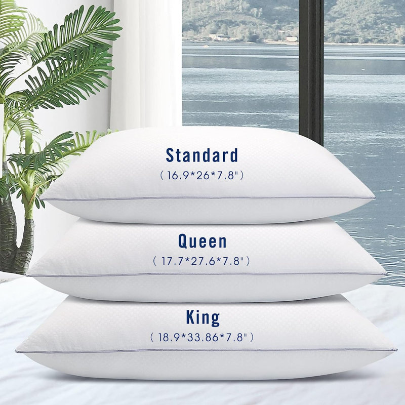 Bothwell Polyester Soft-Medium Pillow, 19"H x 34"W
