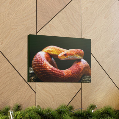 Wall Art on Canvas