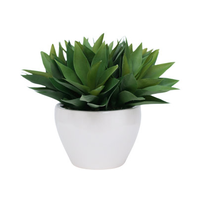 Agave 14 po en céramique blanc brillant