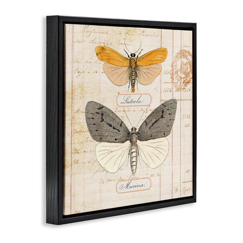  «Butterflies», art mural encadré par Susan Arnot, Noir, noir, noir, noir, H 18 po x l 18 po