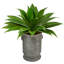 Plante grasse artificielle 26 po en pot
