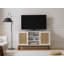 Meuble télé Hance de 47 po de style moderne Mid-Century avec tablette réglable pour le salon Hance