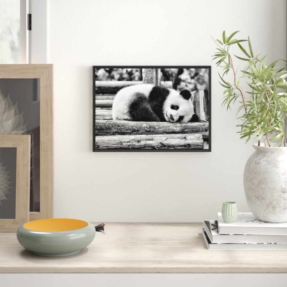 Gerahmtes Wandbild süßer kleiner Pandabär