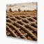 «Farm Rope», art mural sur toile beige-1746908440