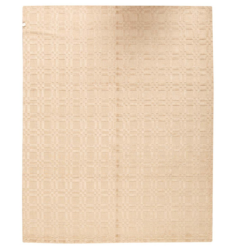 Geometric Area Rug in Beige